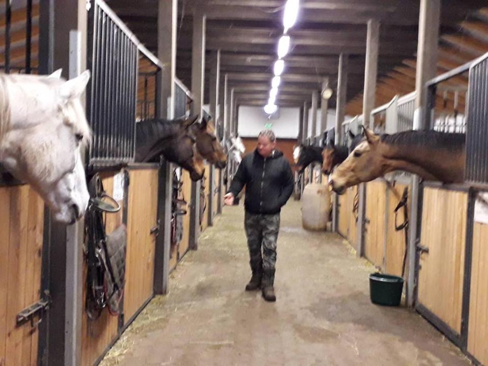 Caballus Lovasmajor Panzio Nyíregyháza Dış mekan fotoğraf
