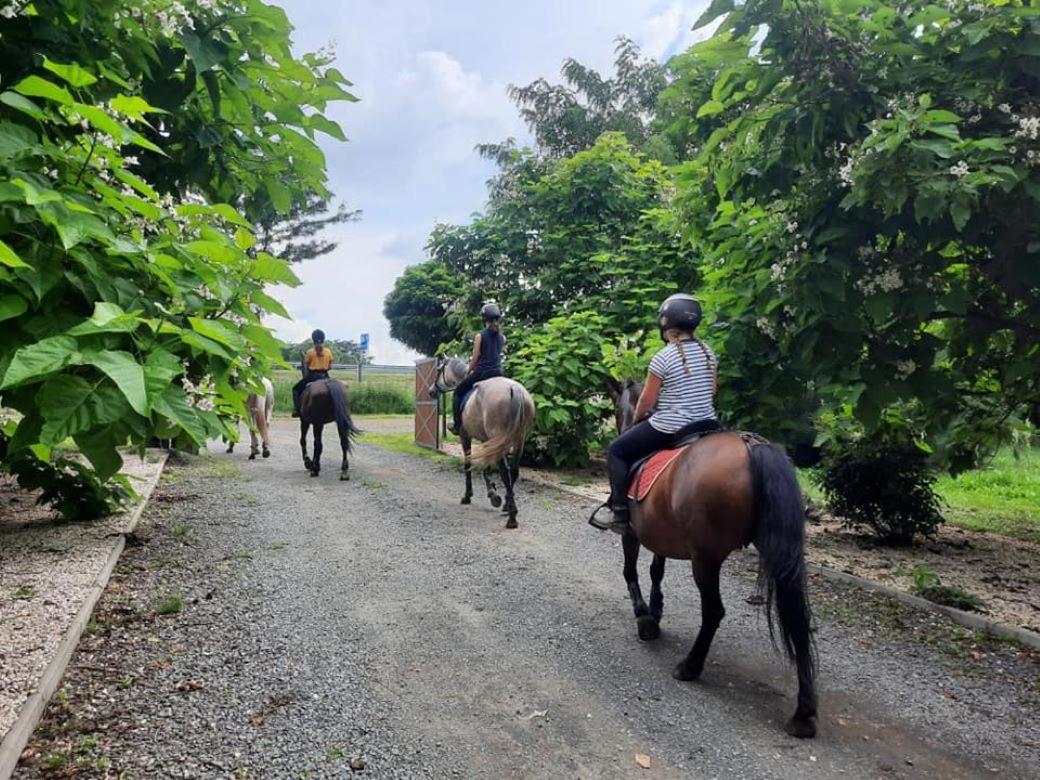 Caballus Lovasmajor Panzio Nyíregyháza Dış mekan fotoğraf